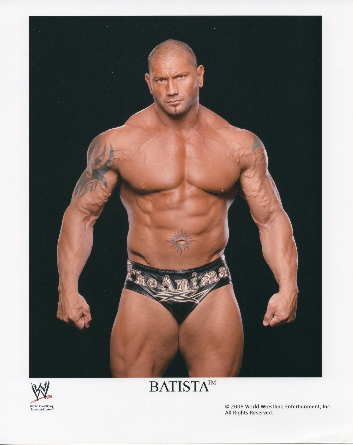 Batista WWE Promo Photo